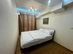 Altai Cozy Apartment