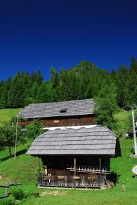Tourist farm Gradišnik