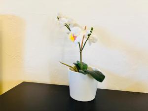 Casa Colonial San Jerónimo