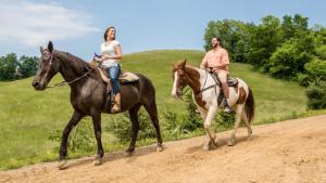 Mountain Getaway and a Theater