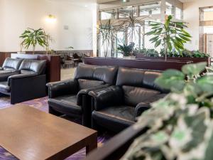 Awa Ikeda Station Hotel Eleven