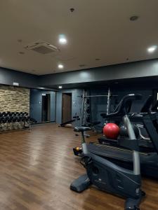 The Vista Studio