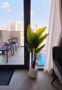 Modern Deluxe Studio in Dubai