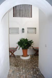 Casa da Muralha de Serpa