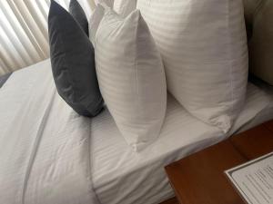 lento suite hotel
