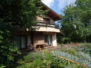 Pensiunea Bamboo - Villa - Plaiul Cîmpinei