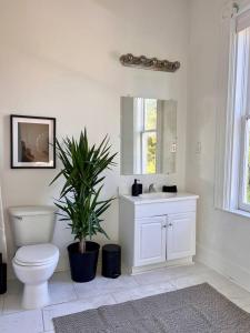 Downtown 2 Bedroom - Walk to Beale Street & FedEx Forum