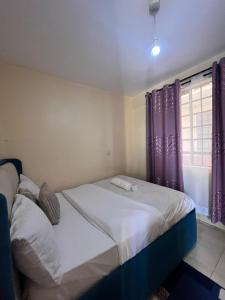 One bedroom apartment, Trm drive