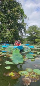 National Holiday Resort