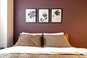 Lino Stay Kasai elua