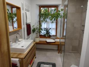 Ferienwohnung Am Odenwaldlimes