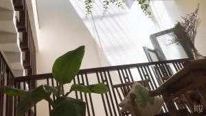 Coco Village Homestay Hoi An