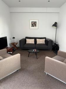 Luxury semi-detached house near Amsterdam