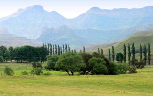 New England Cottage by First Private Stays