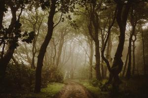Castle Penthouse on Estate by the Sea