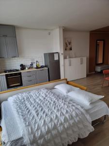 Sika Platinum Premium Apartment- private parking