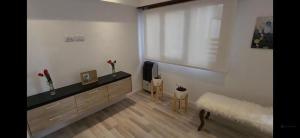 Departamento zona centro