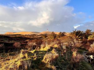 6 person holiday home in Hjørring