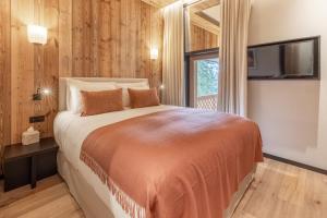 Antarès URSA 303 - luxury apartment ski inski out