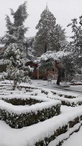 Jardín Las Secuoyas