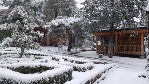 Jardín Las Secuoyas