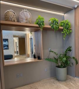Lótus apartamento hotel decorado praia Farol da Barra Salvador