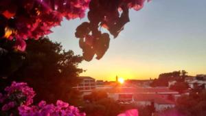 Apartments in Banjol - Insel Rab 36260