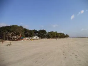 Chateu Soneca - Algodoal