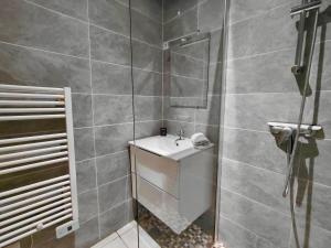 C Coispine 1 Cosy studio RDC vue sur la Meuse
