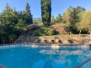 Ex oldest mill with stonepool