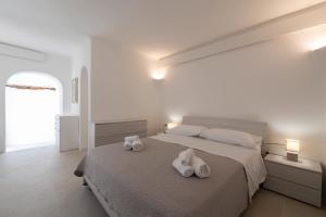 Monolocale Bibi 26 img13