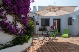 Monolocale Bibi 26 img14