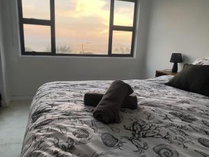 Whale Tale Beachfront Apartment-50m from beach