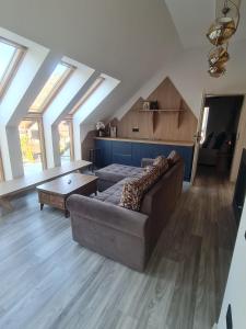 Solaris Zenith View