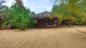 Mangrove Beach Cabana