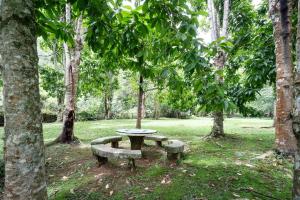 Sitio com Piscina e Lareira a 10 min de Itaipava