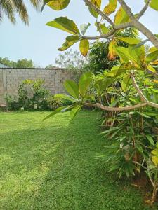 Jaya Rest house