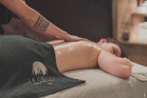 Chalet Hôtel & Spa Le Collet