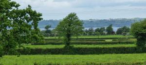 Cosy Cabin - Near Belfast International Airport
