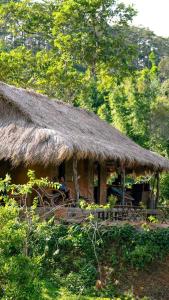 COI NGUON FARM GLAM Mang Den