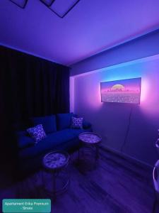 Apartament Erika Premium Sinaia