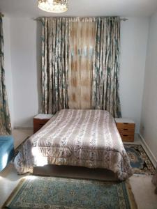 Comfortable One-Bedroom Apartment