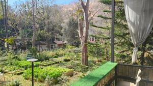 The Forest Camp Khaoyai เดอะฟอเรสแคมป์ เขาใหญ่