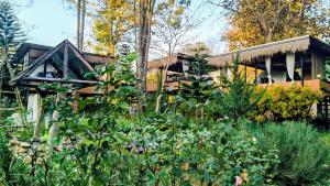 The Forest Camp Khaoyai เดอะฟอเรสแคมป์ เขาใหญ่