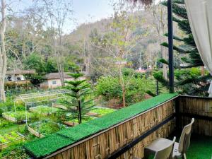 The Forest Camp Khaoyai เดอะฟอเรสแคมป์ เขาใหญ่
