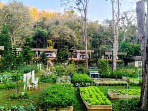 The Forest Camp Khaoyai เดอะฟอเรสแคมป์ เขาใหญ่