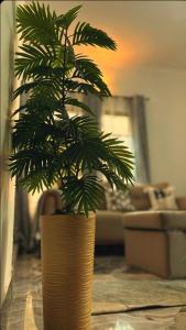 Cozy-Homey with solar system -Firepit- Free Parking-Gardenswing