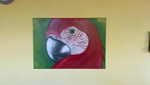 Hotel Hibiscus Cabina 4