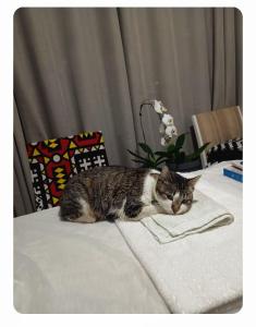 Quarto de casal Morumbi