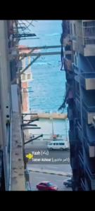 ميامي الاسكندريه